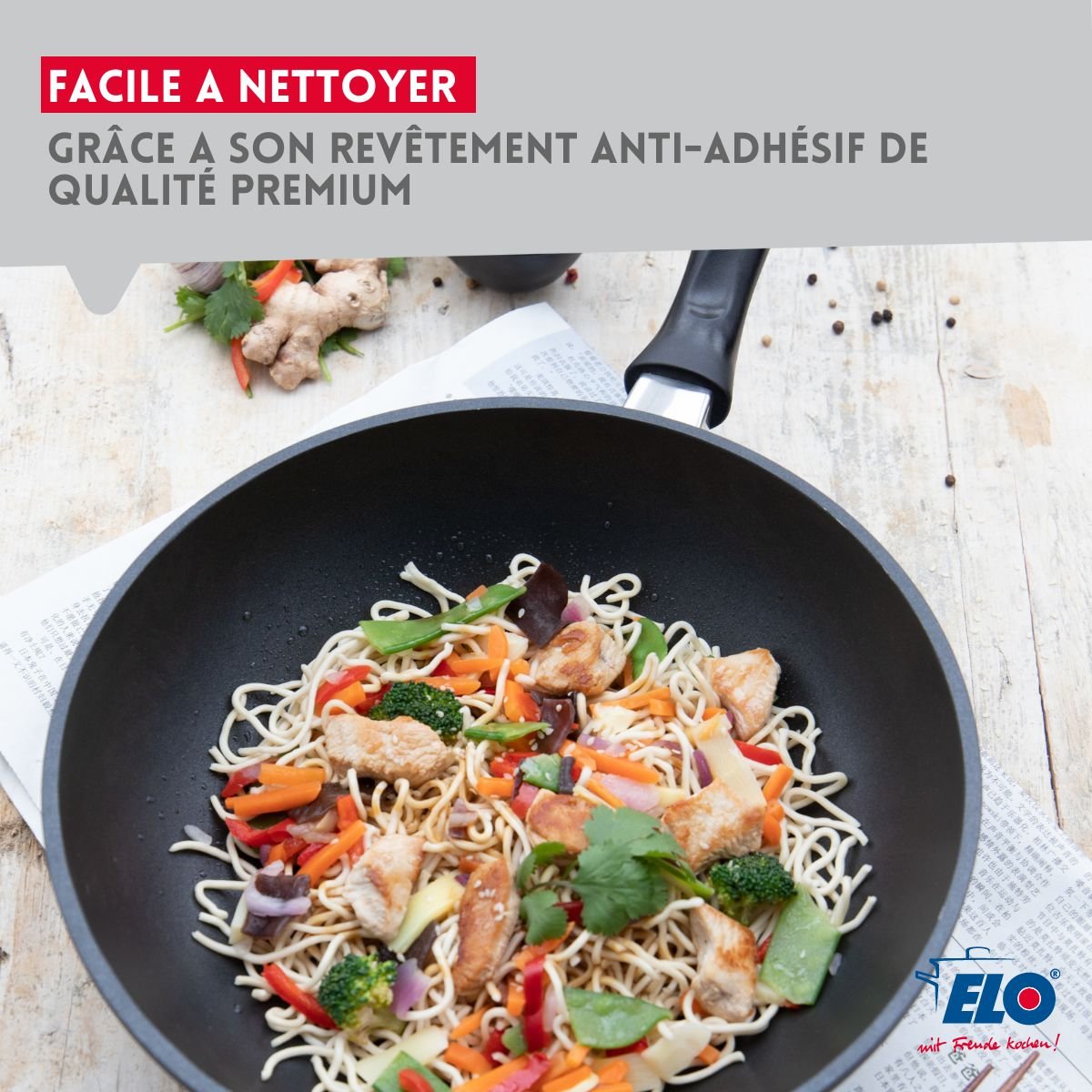 Poêle à frire 20 cm sans PFAS ALUCAST noir, ELO