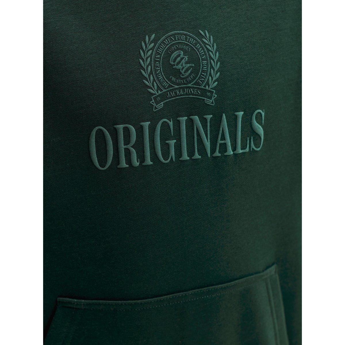 Sweat À Capuche pine grove 1, JACK & JONES JUNIOR
