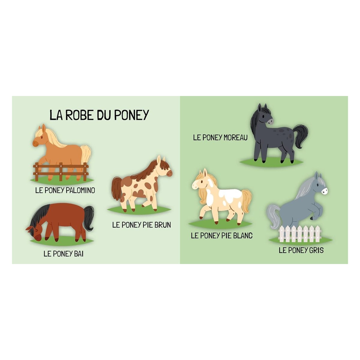 Livre et puzzle Les Poneys vert, SASSI JUNIOR