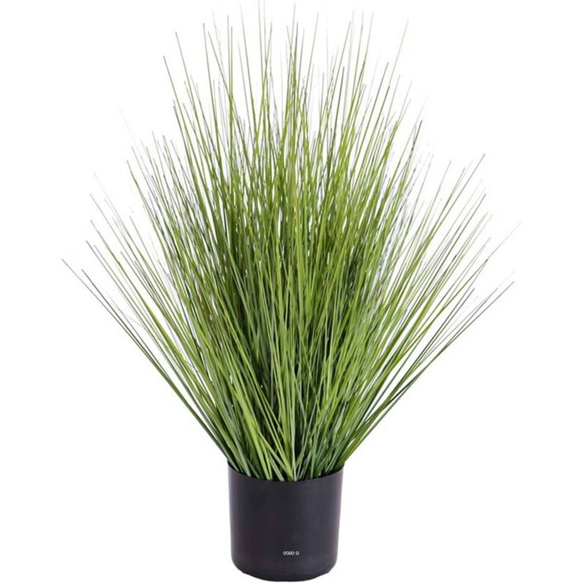 Isolepsis Herbes Graminees artificielles Vert v002239, ARTIFICIELLES
