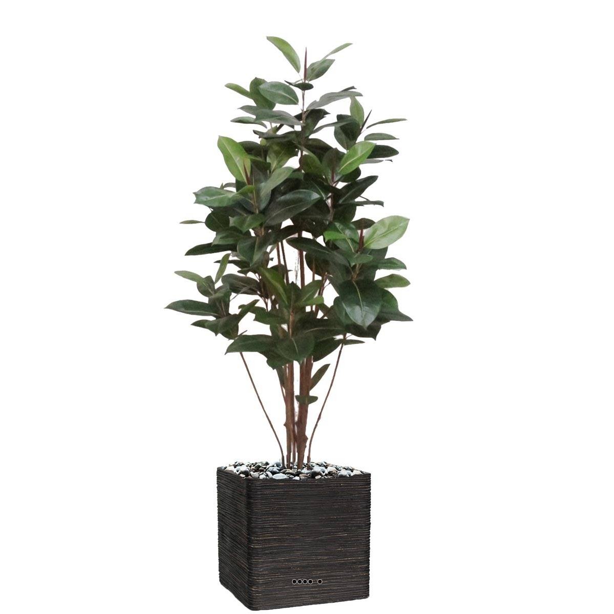 Ficus Robusta factice tronc PE en pot bea vert, ARTIFICIELLES
