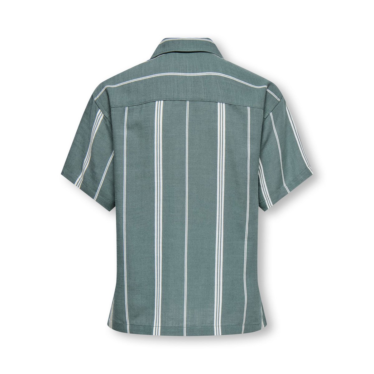 Chemise Oxford laurel wreath, ONLY & SONS JUNIOR