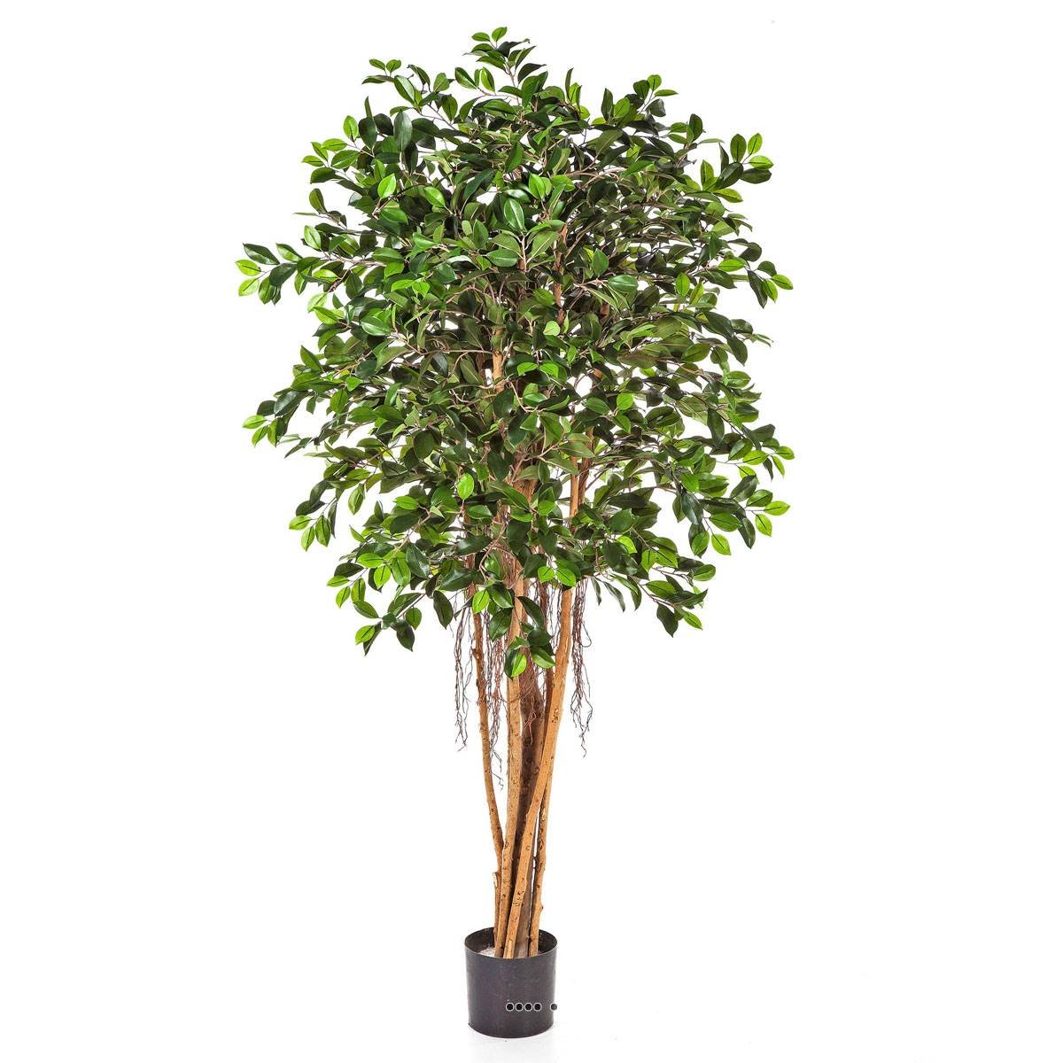 Ficus Retusa artificiel H 150 cm 1440 feuille vert, ARTIFICIELLES