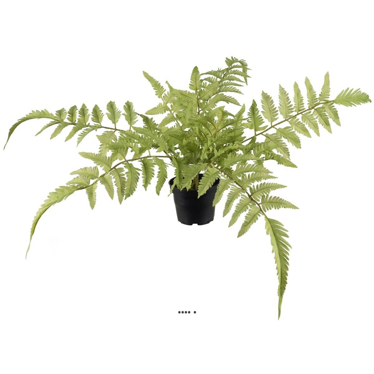 Fougère des forêts osmuda regalis artificiel v002239, ARTIFICIELLES