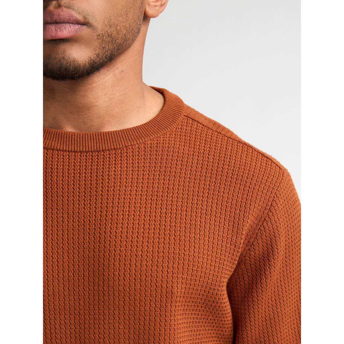 Pull col rond en coton mélangé steelbend orange copper orange, PETROL INDUSTRIES