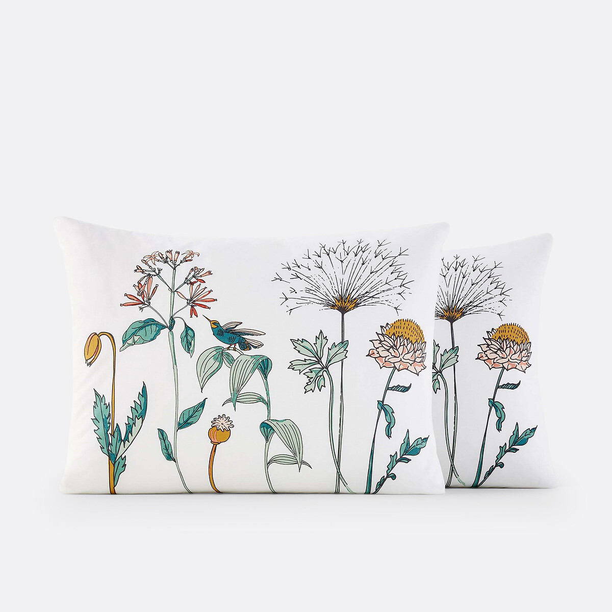 Fronha de almofada em percal, Eden Garden estampado às flores, LA REDOUTE INTERIEURS