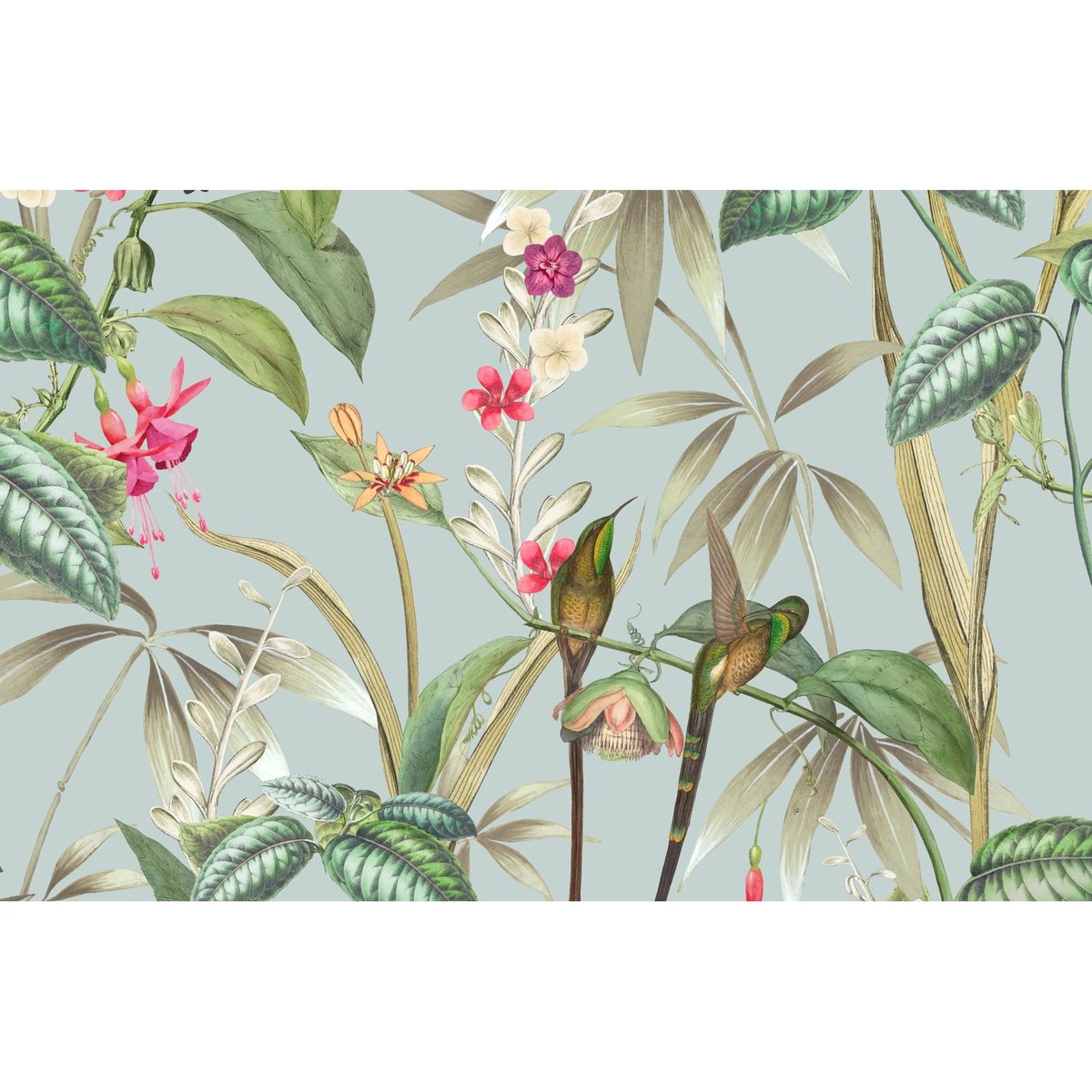 Lot de 2 sets de table motifs tropical BARBARA multicolore, TOILINUX