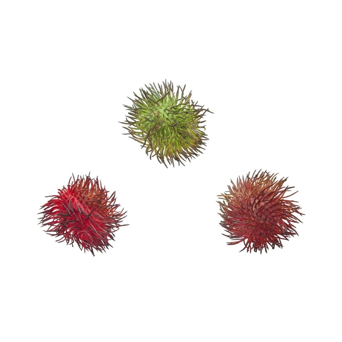 Set de 3 fruits artificiels ramboutan H7 rouge, SIA DECO