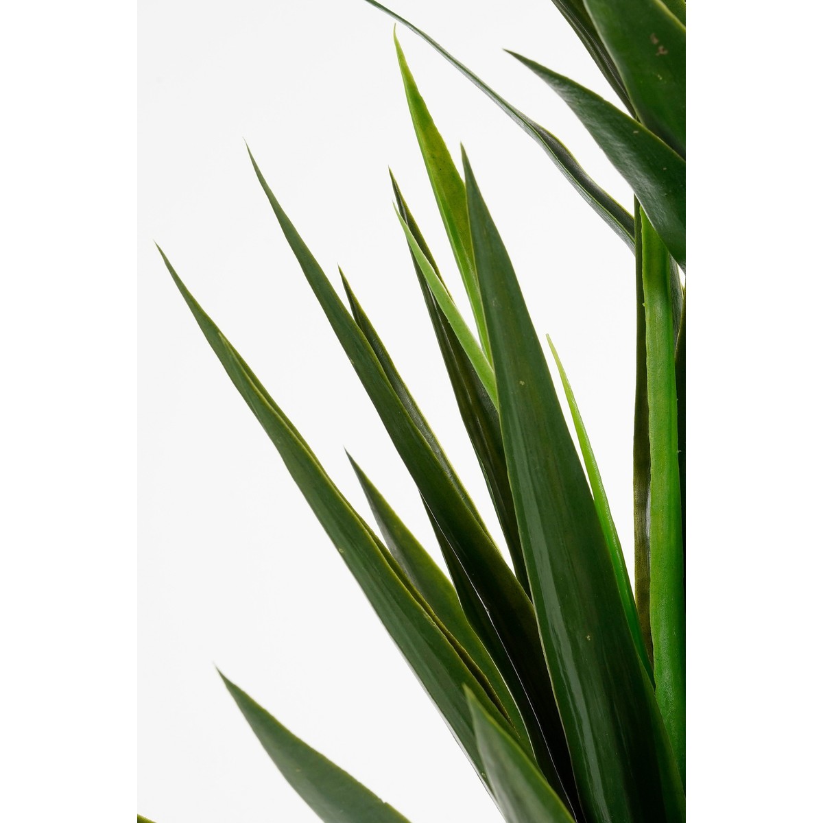 Plante artificielle YUCCA crème, MICA DECORATIONS