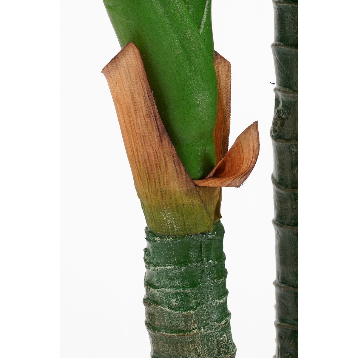 Plante artificielle DIEFFENBACHIA vert, MICA DECORATIONS