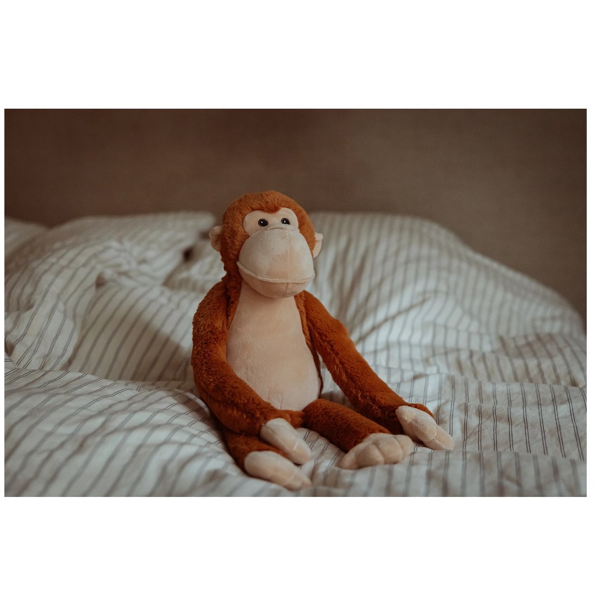 Singe en peluche lesté 0,5 kg marron, BYASTRUP