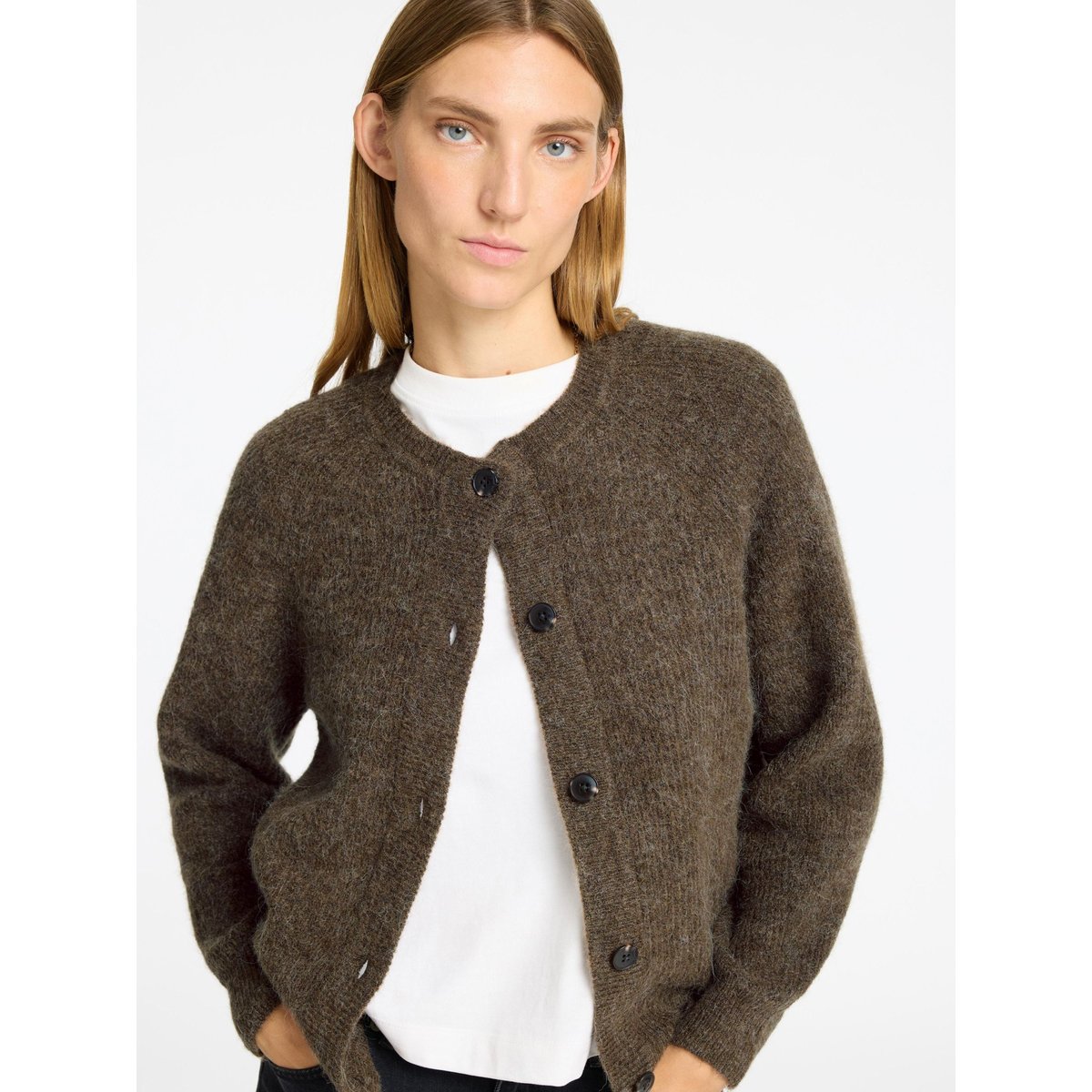Cardigan dachshund, SELECTED