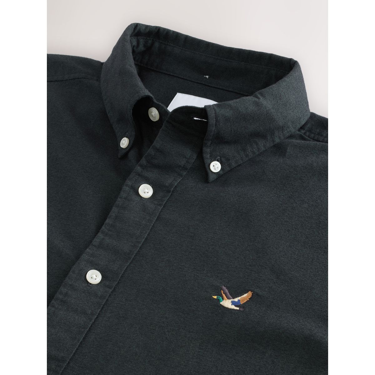 Chemise oxford effet brossé vert foncé, NEXT