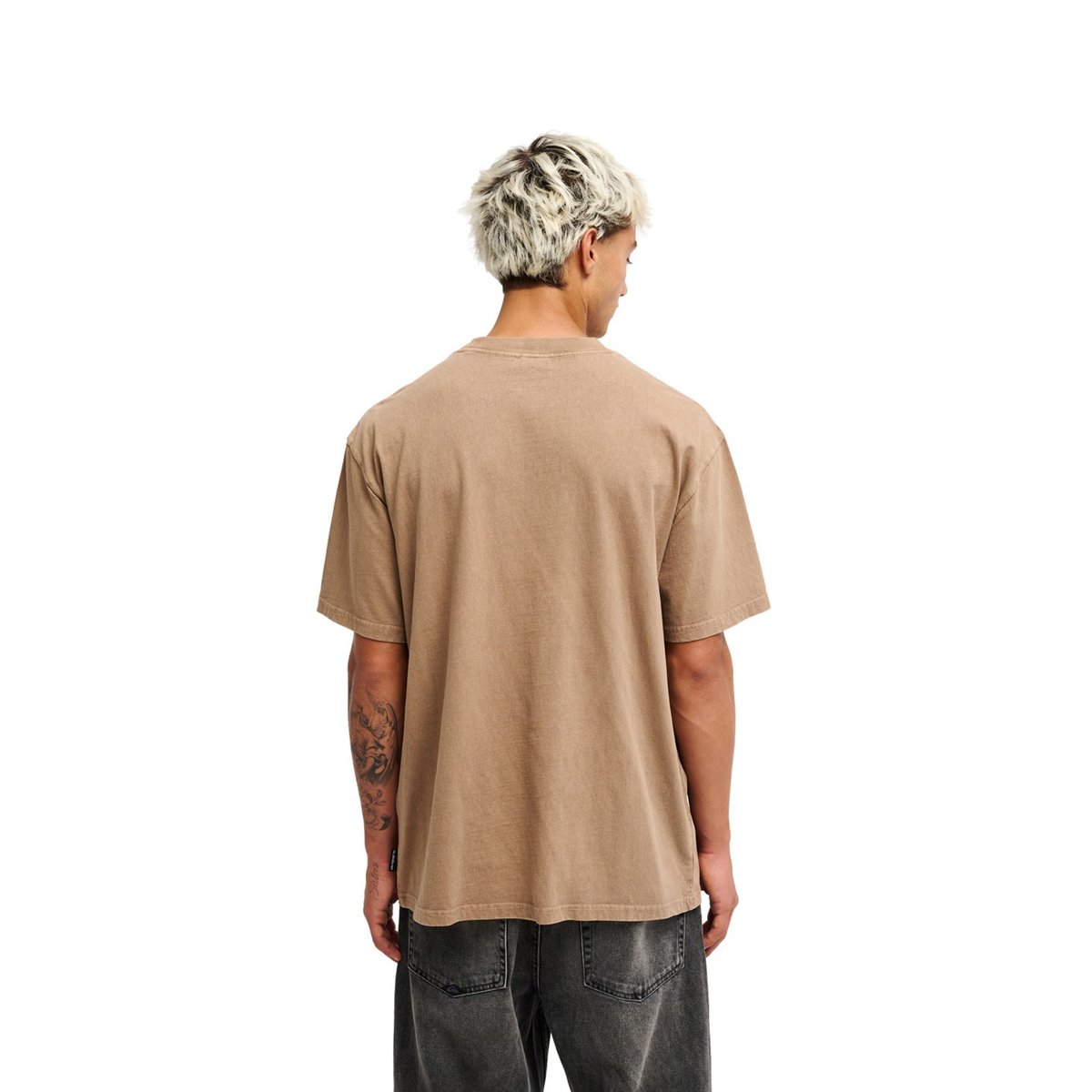 T-Shirt manches courtes GUANA WASHED marron pine bark, QUIKSILVER