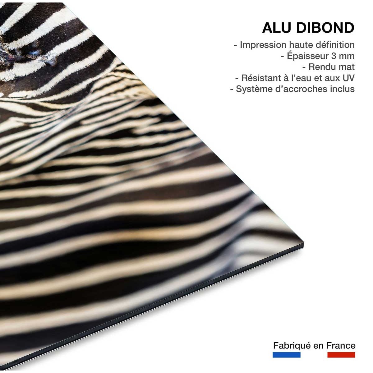 Tableau zèbre tableau alu dibond, HEXOA