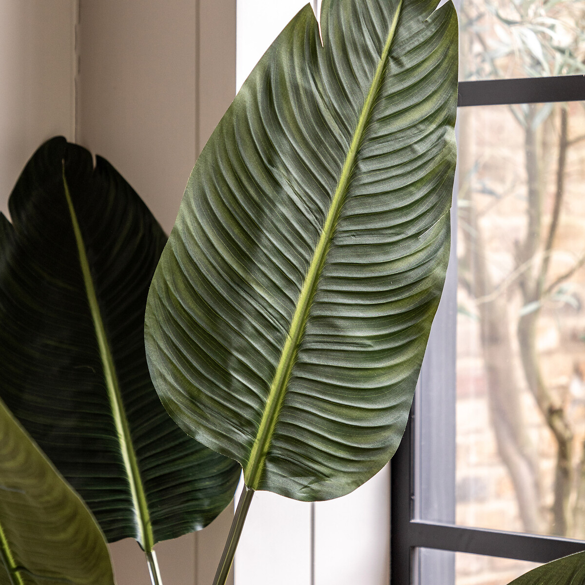 4ft Potted Travellers Palm Tree green, ÉDITÉ