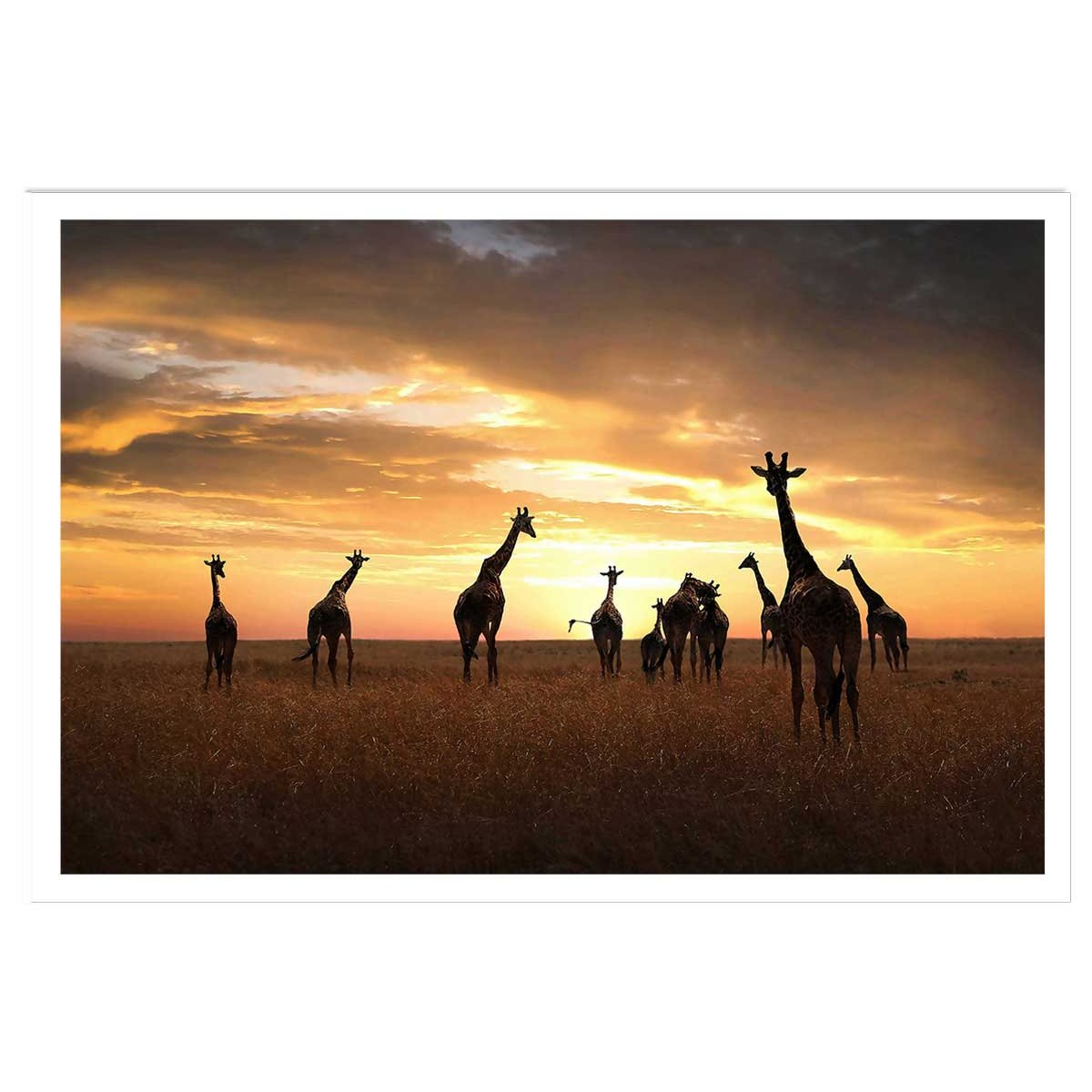 Affiche animaux girafes family affiche seule, HEXOA