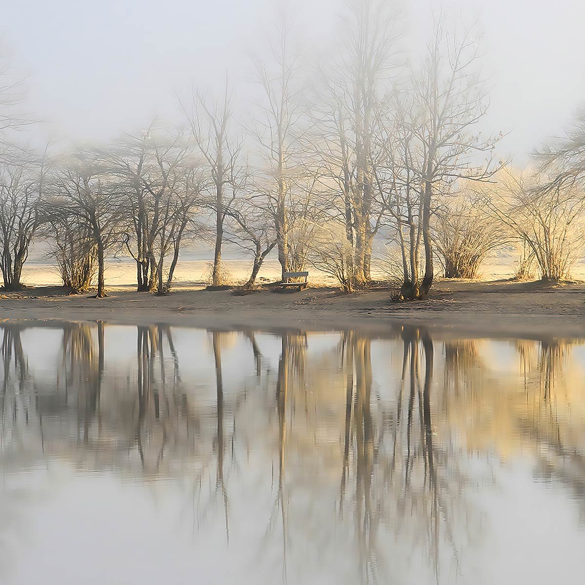 Papier peint panoramique lac au petit matin intissé, HEXOA