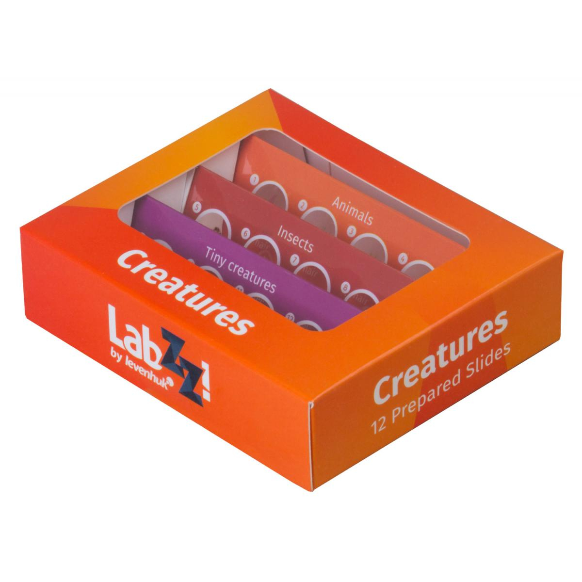 Lames pour microscopes Levenhuk LabZZ C atures couleur unique, LABZZ