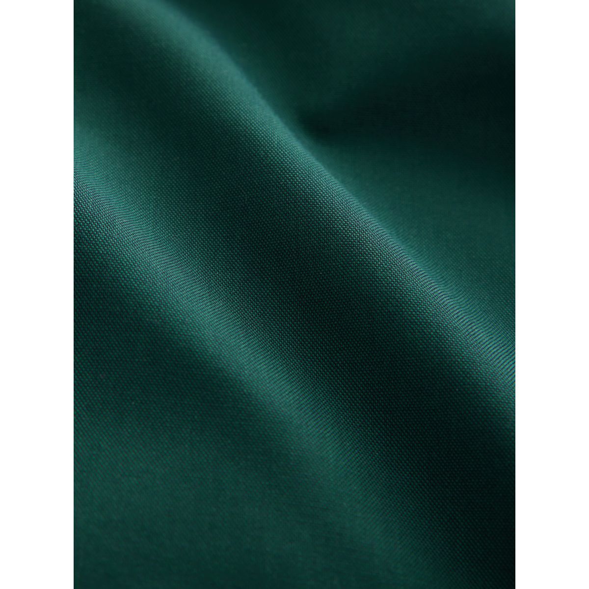 Chemise oxford standard boutonnée vert, NEXT