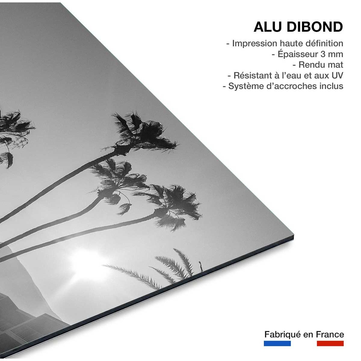 Tableau noir et blanc palmiers - palm springs tableau alu dibond, HEXOA