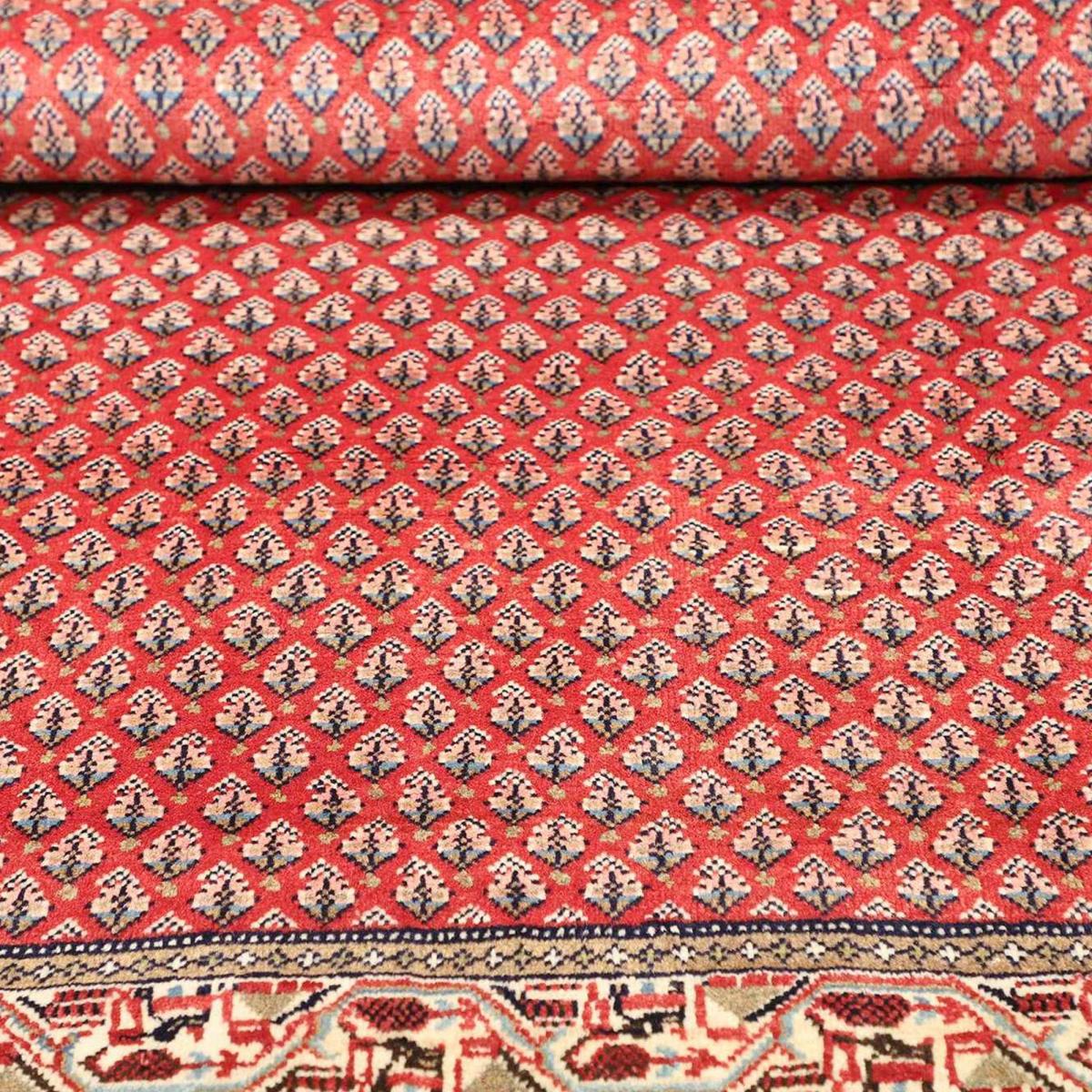 Tapis d'orient au motif oriental, noué main en laine, HAMADAN 51 rouge, crème, noir, UN AMOUR DE TAPIS