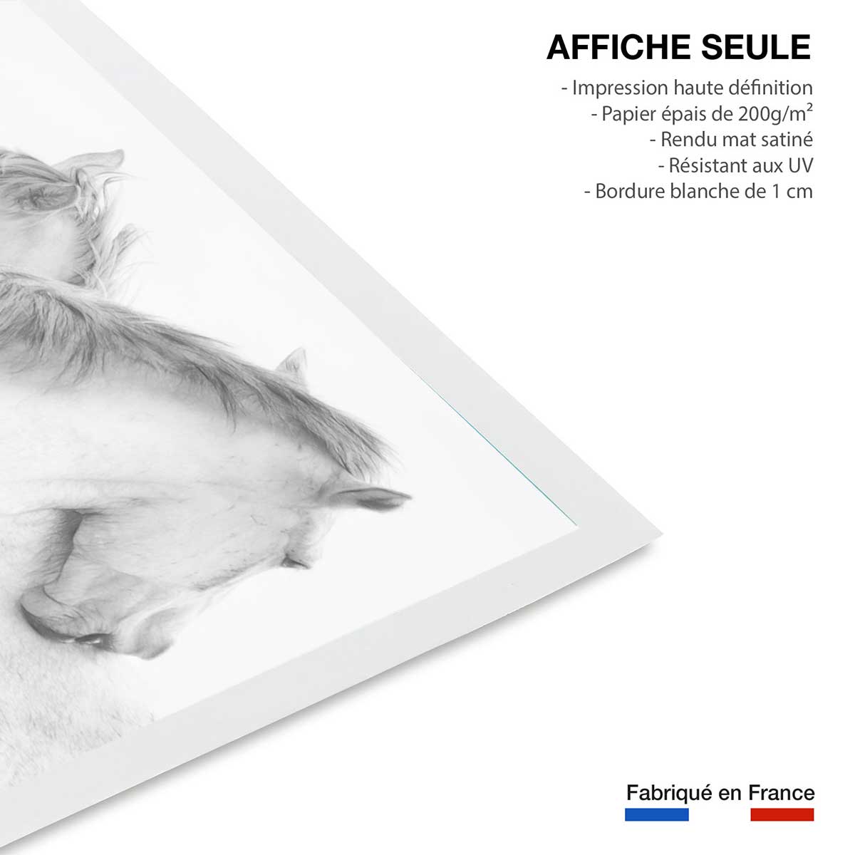 Poster chevaux blancs au crayon de bois affiche seule, HEXOA