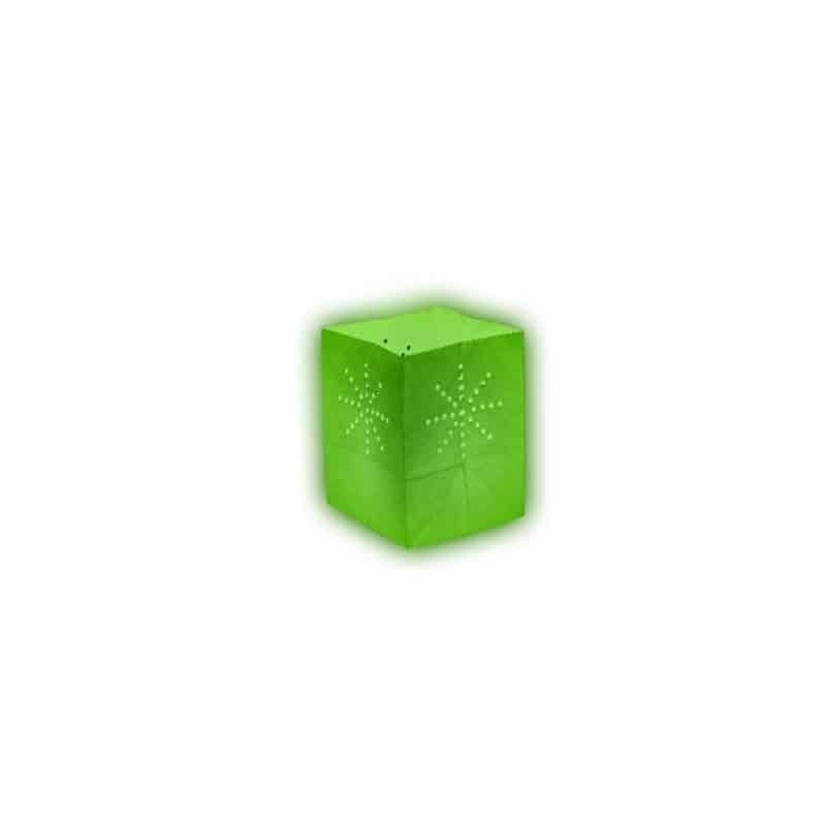 Lanterne papier medium vert anis (x10) couleur unique, SKYLANTERN