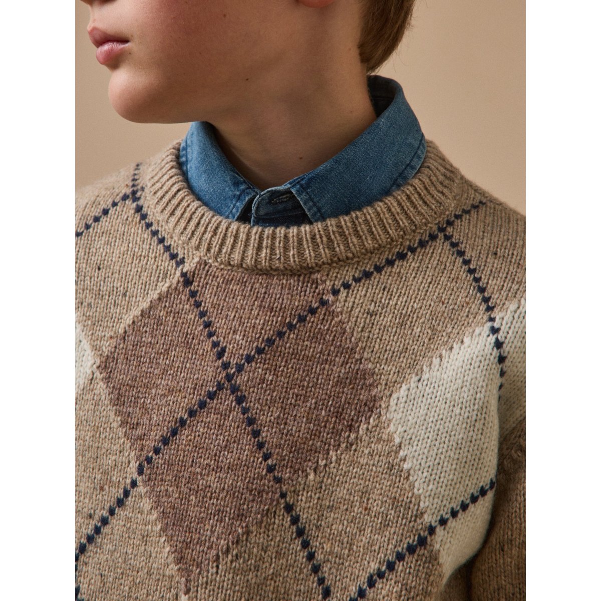 Pull jacquard avec laine beige, CYRILLUS