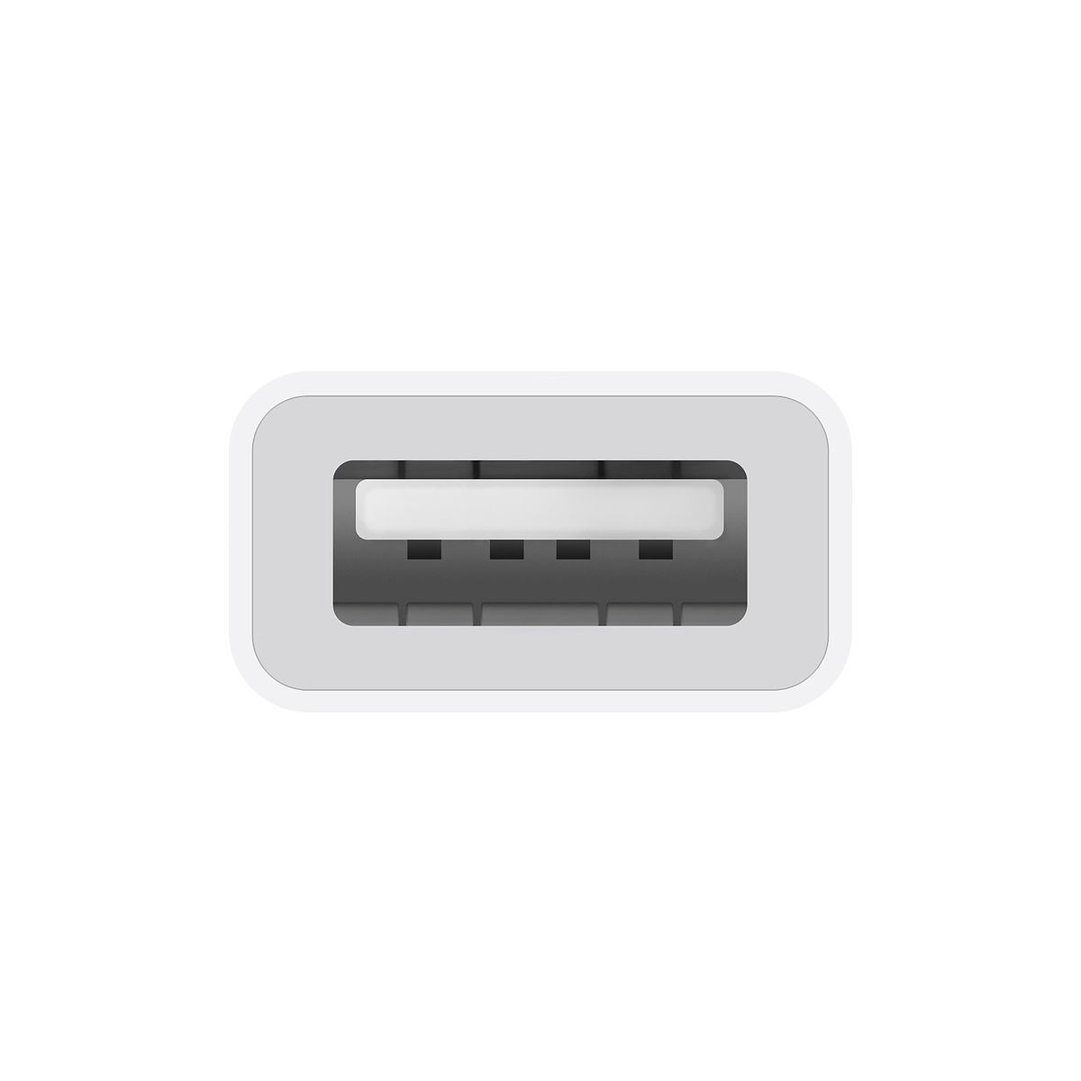 Adaptateur USB C USB-C / USB A couleur unique, APPLE
