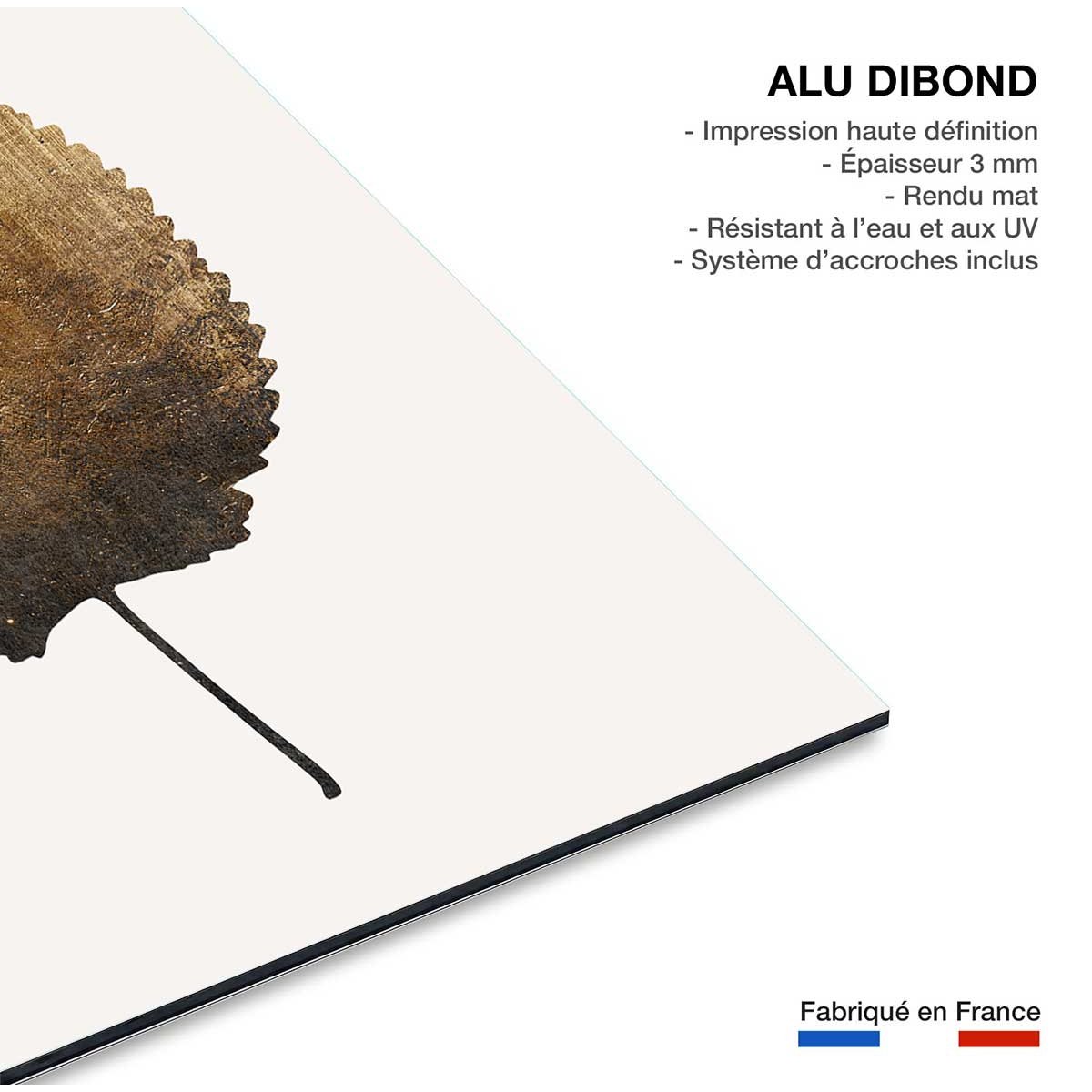 Tableau feuille sauvage dorée tableau alu dibond, HEXOA