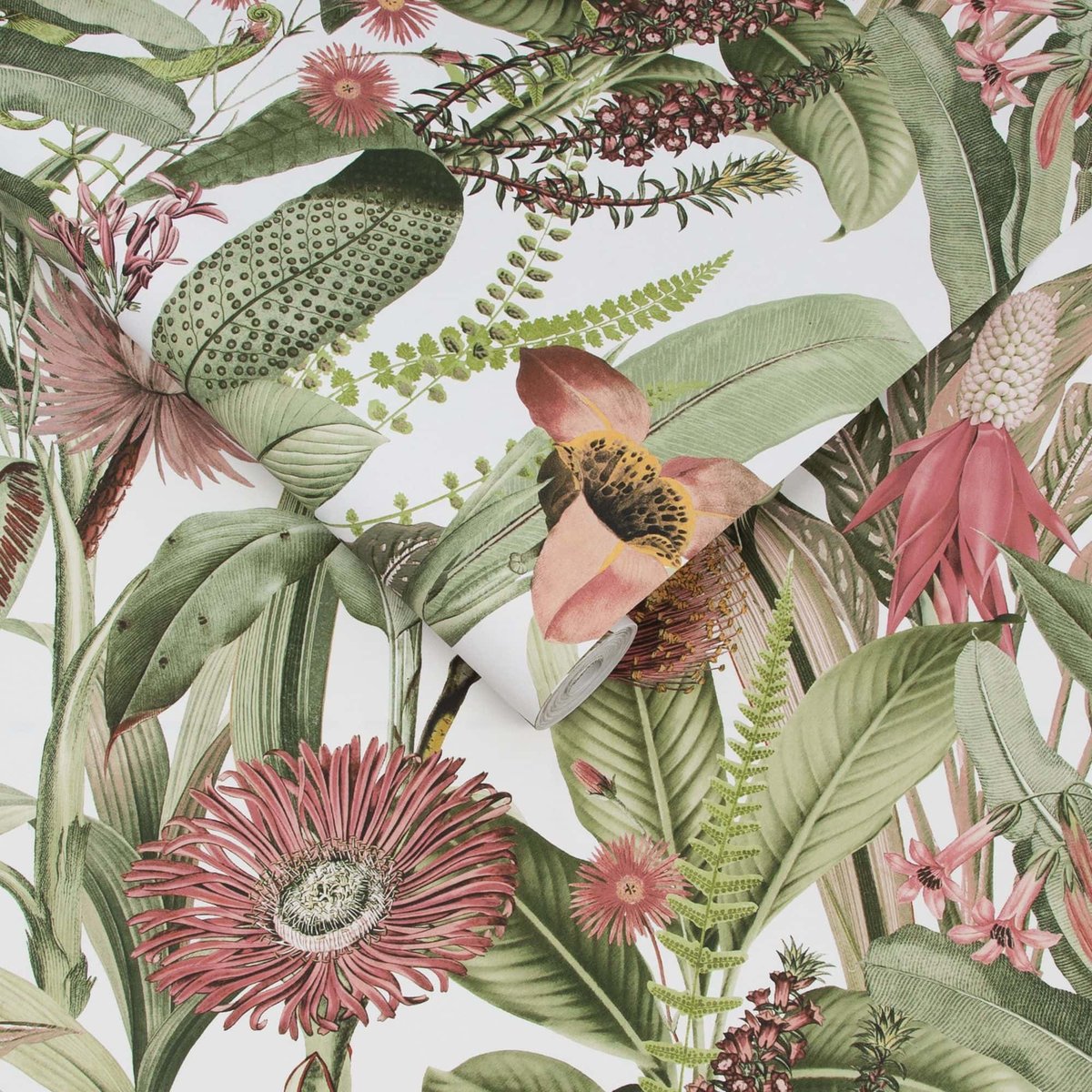 Papier peint Tigerlily Lush vert, corail, blanc, GRAHAM ET BROWN