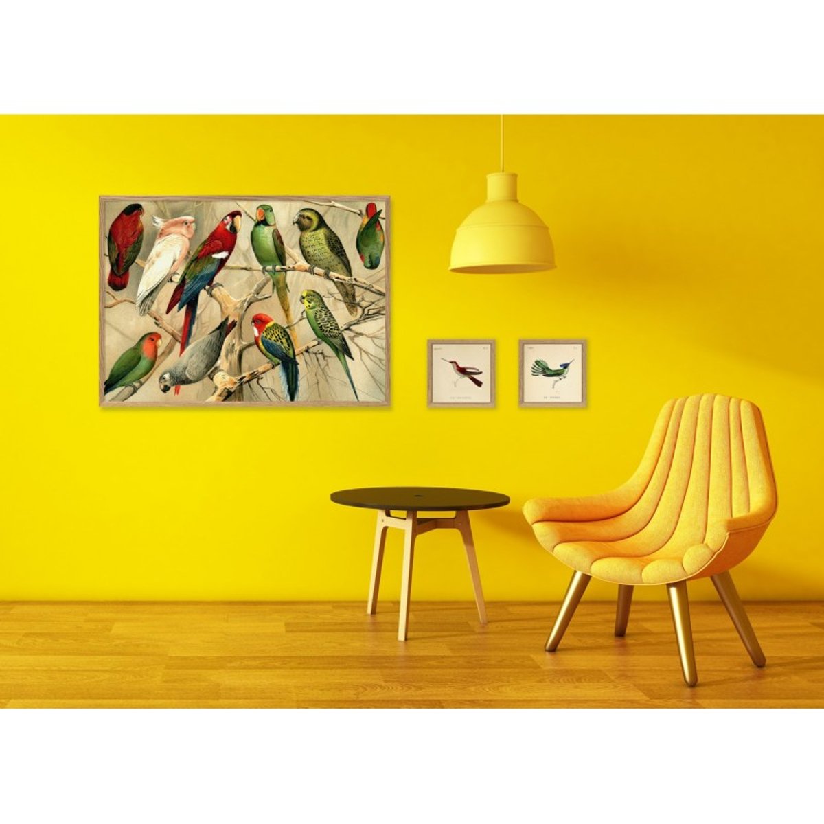 Affiche perroquets vintage  Parrots multicolore, THE DYBDAHL CO