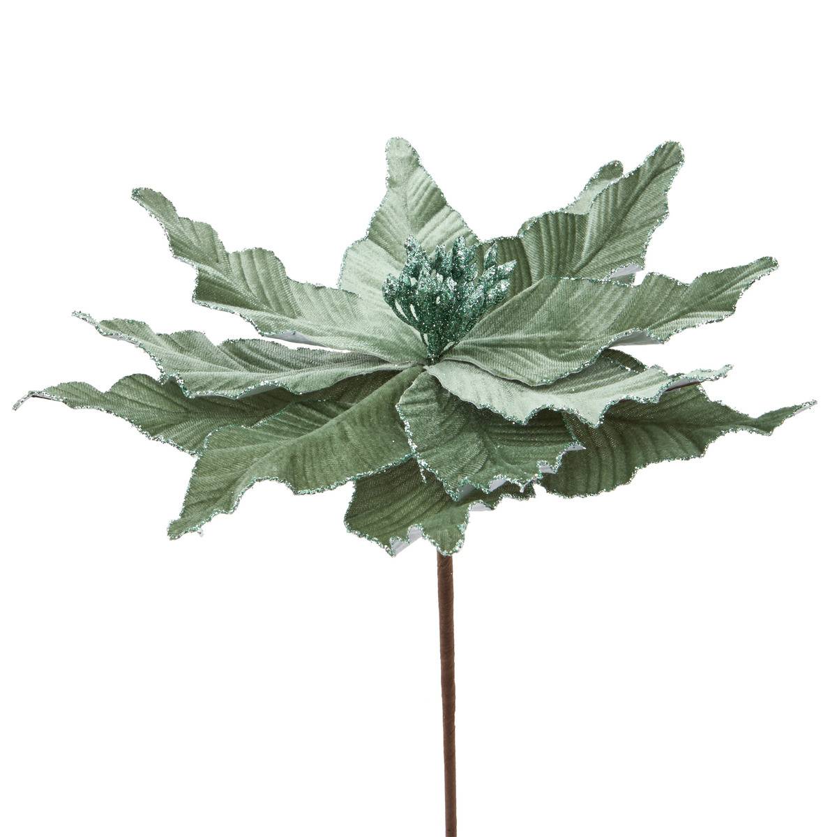 Branche décorative de Noël poinsettia vert H. 50 cm vert, FEERIC LIGHTS & CHRISTMAS