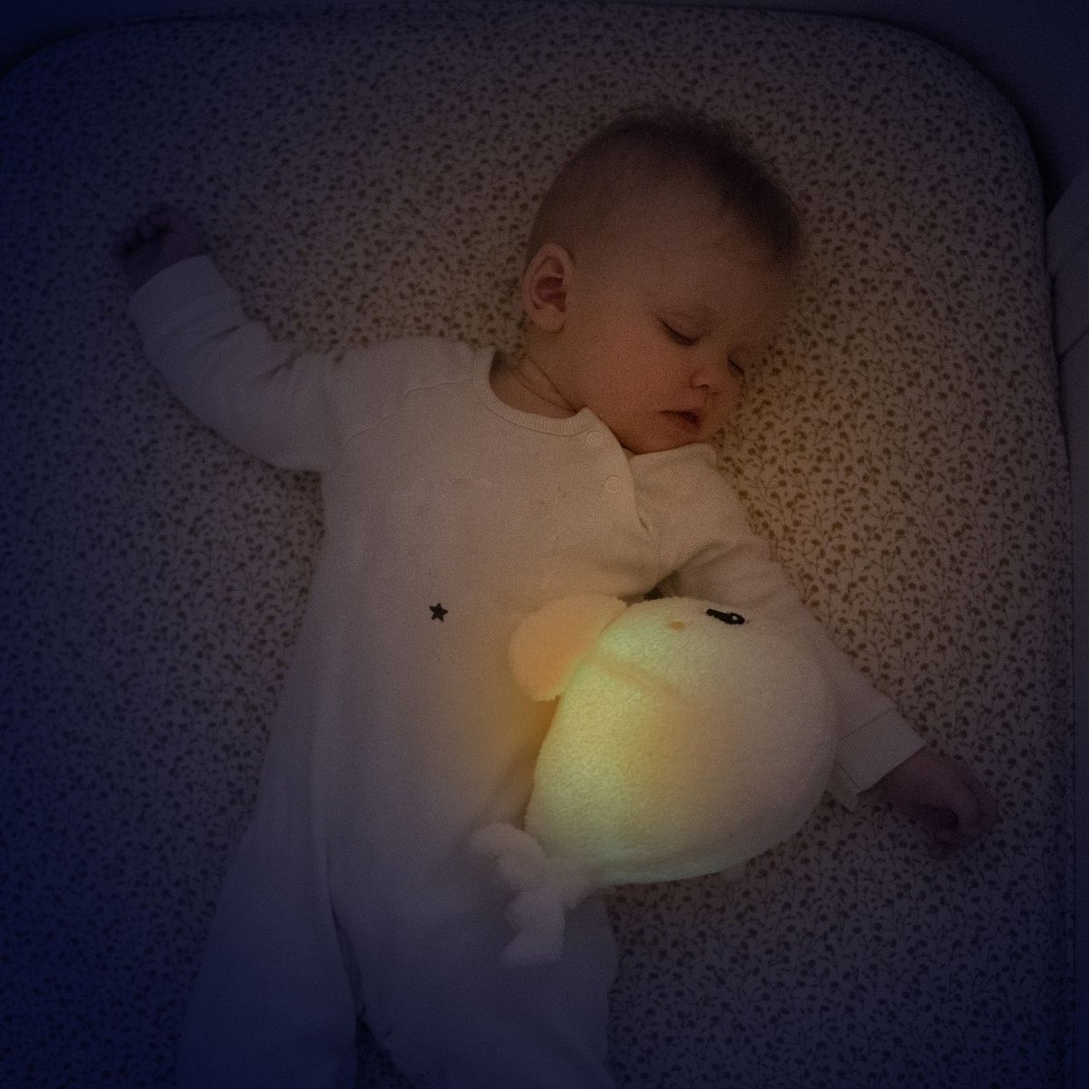 Veilleuse peluche bruits blancs et roses Beluga ecru, PABOBO