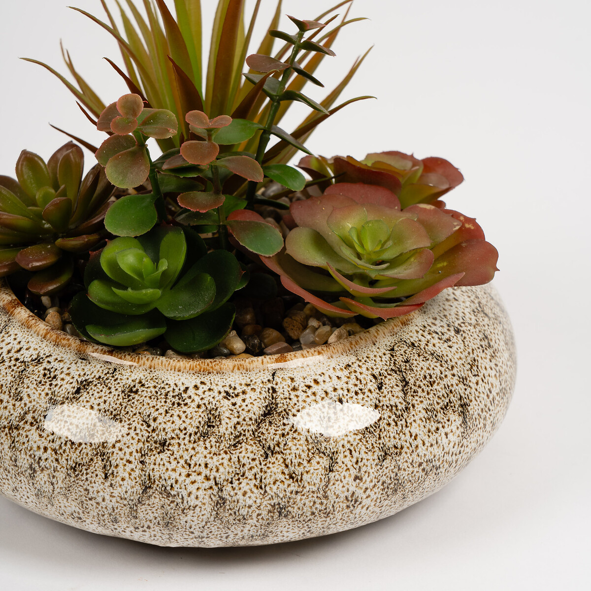 20cm Succulent Bowl green, SO'HOME
