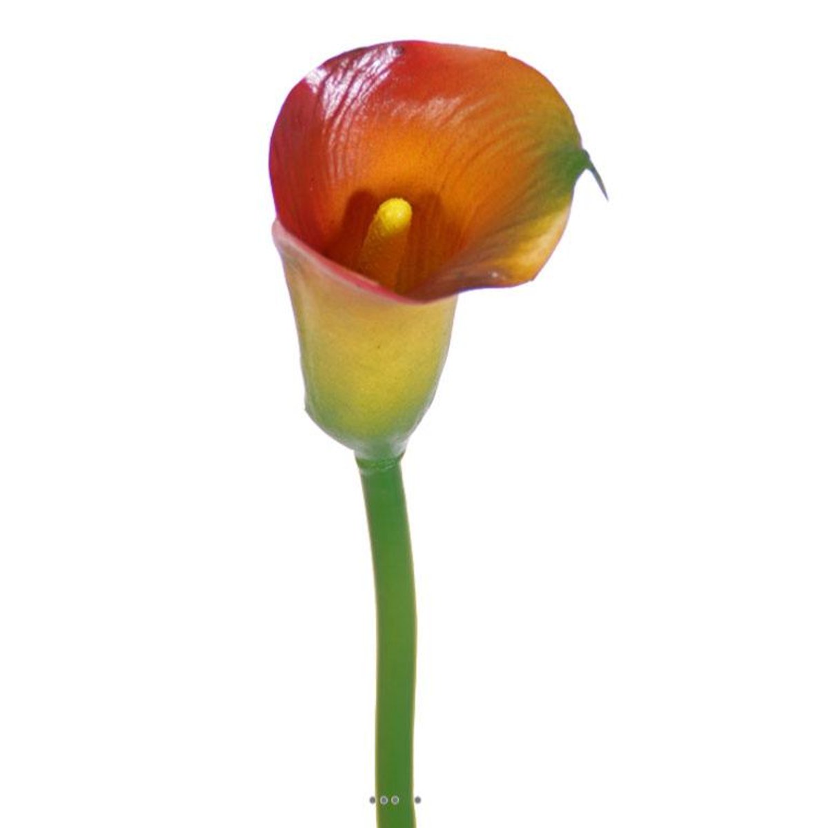 Arum calla Zantedeschia artificiel H 55 cm vert-rouge, ARTIFICIELLES