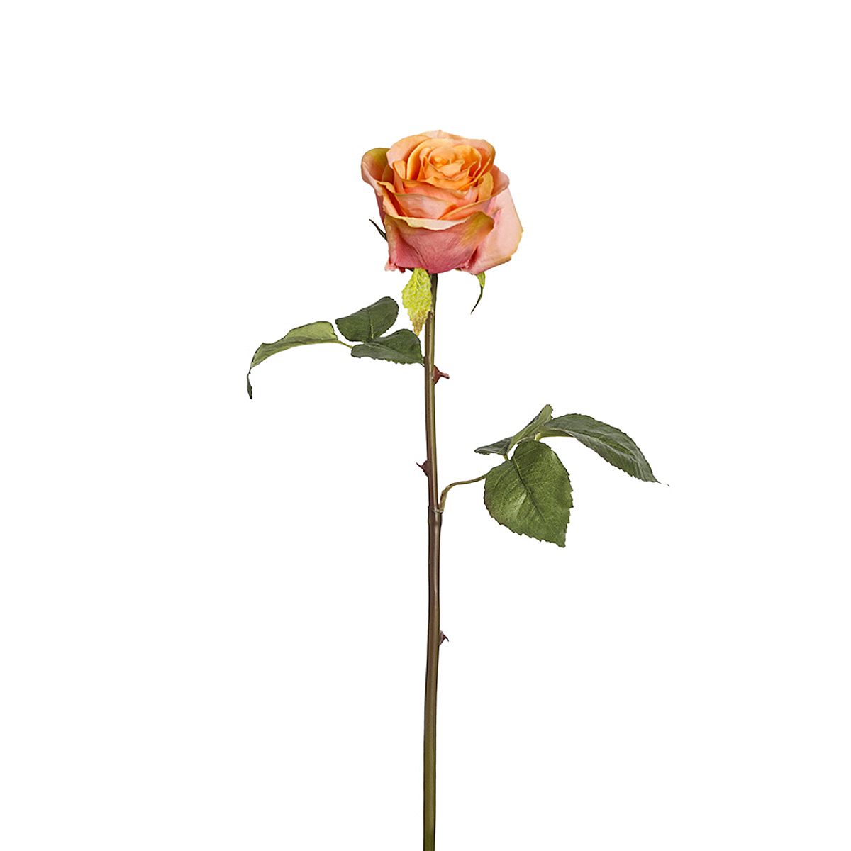 Tige de rose artificielle H53 fuchsia, SIA DECO