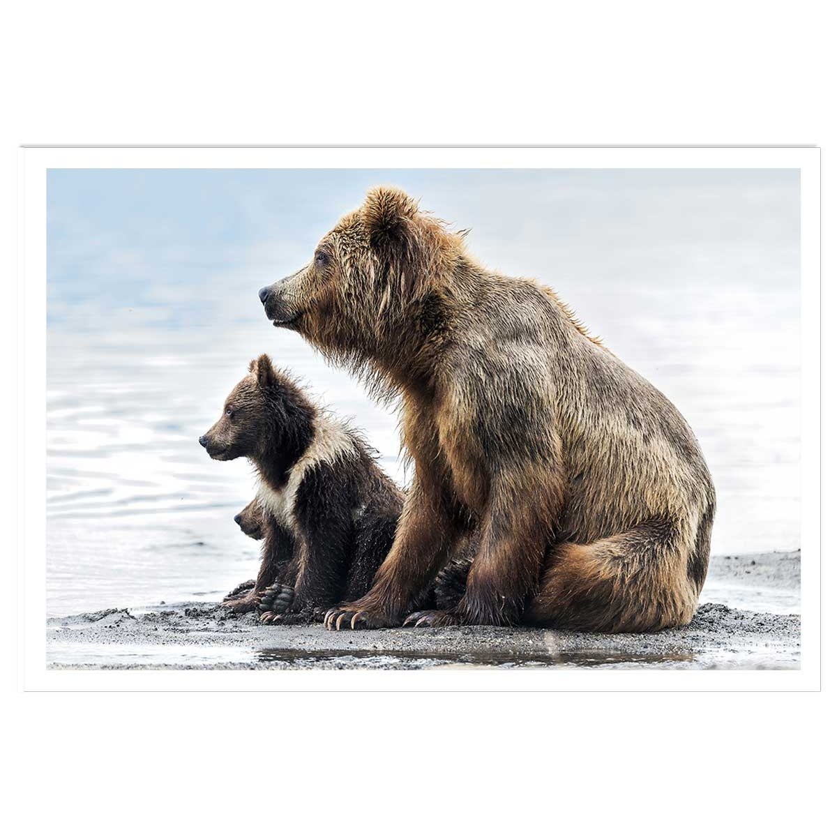 Affiche animaux profile Family affiche seule, HEXOA