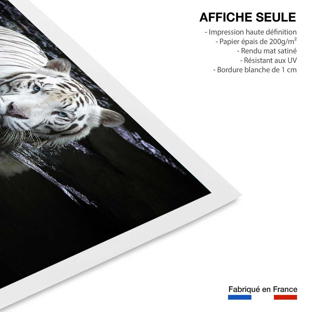 Affiche tigre Regarde moi... affiche seule, HEXOA