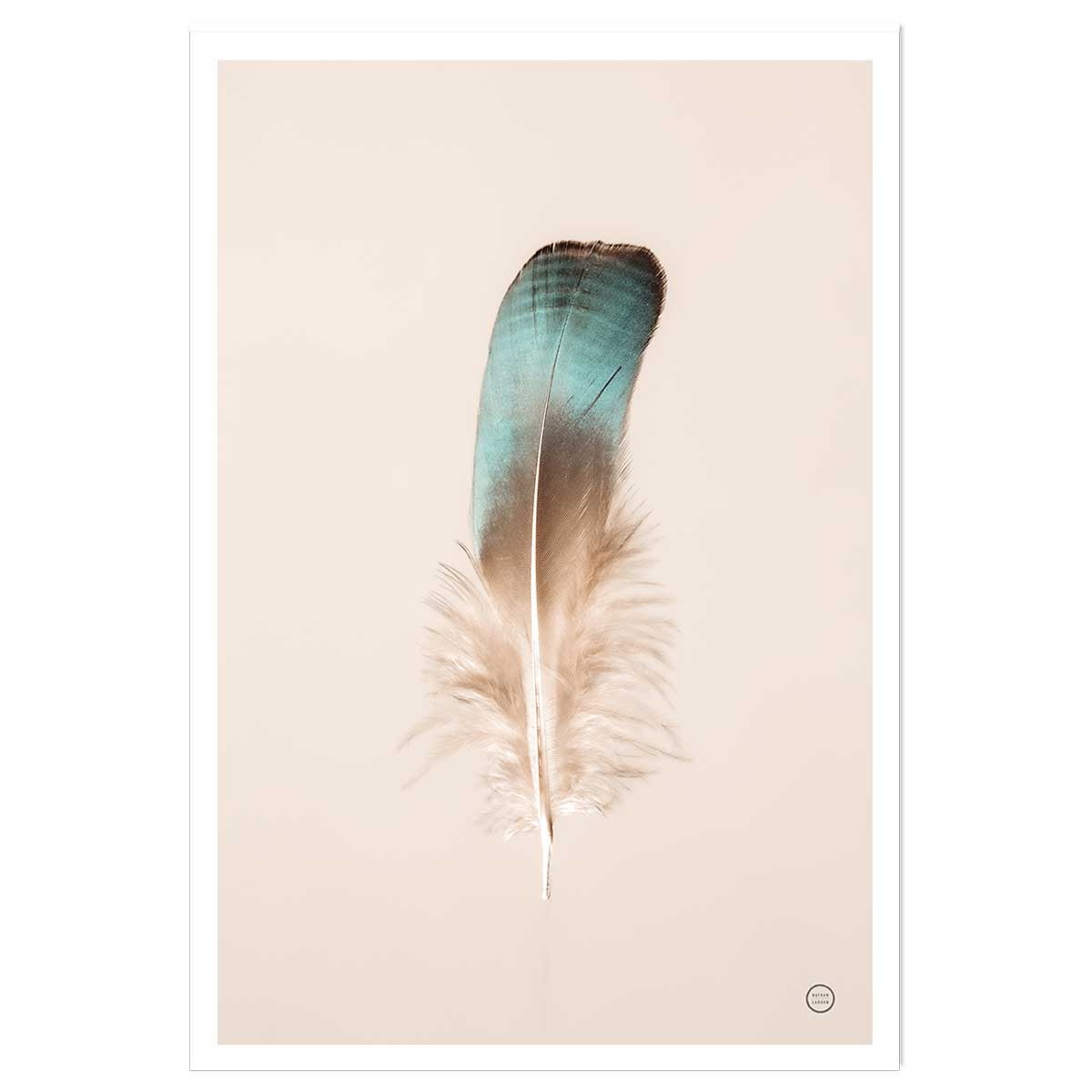 Affiche enfant plume bleue affiche seule, HEXOA