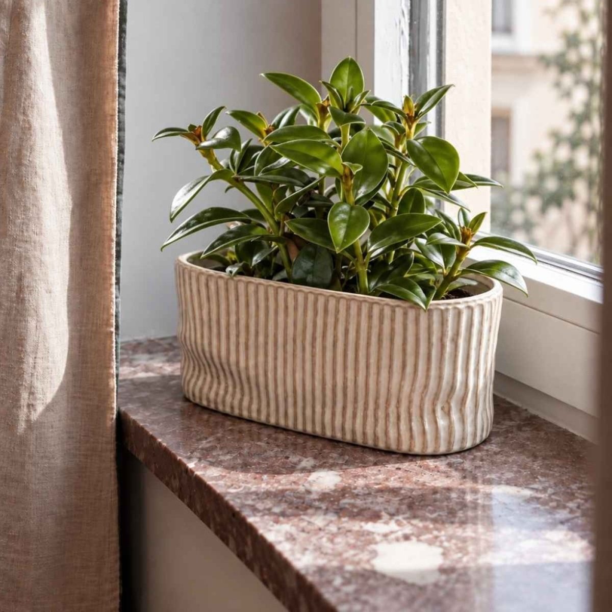 Cache-pot ovale en céramique striée 26x15cm marron, ORNAMI