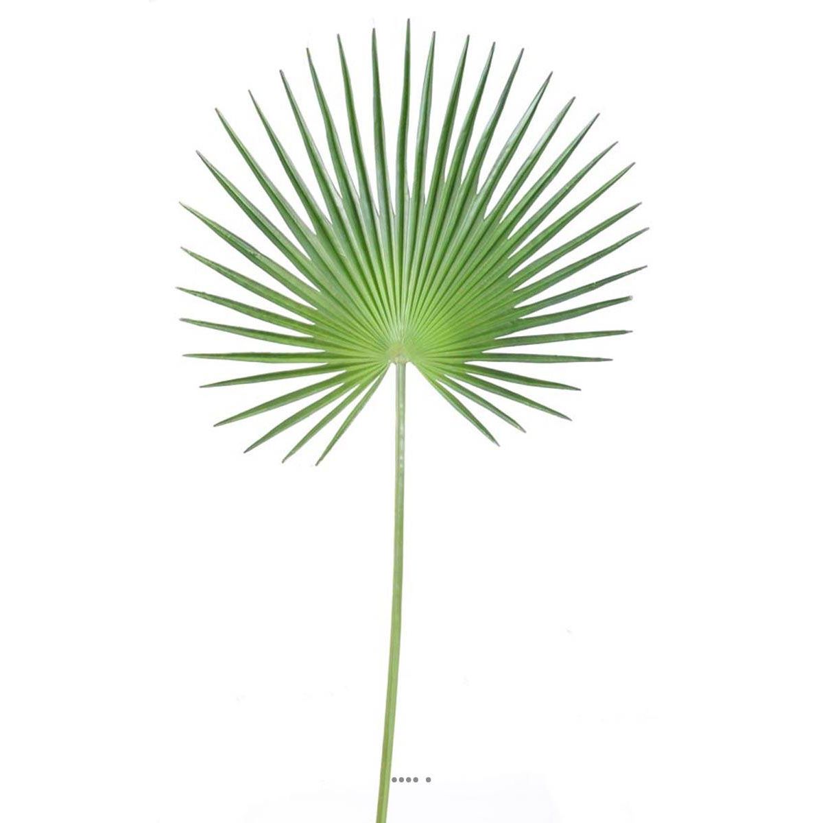 Feuille palmier Chamaerops artificielle H 120 v002239, ARTIFICIELLES