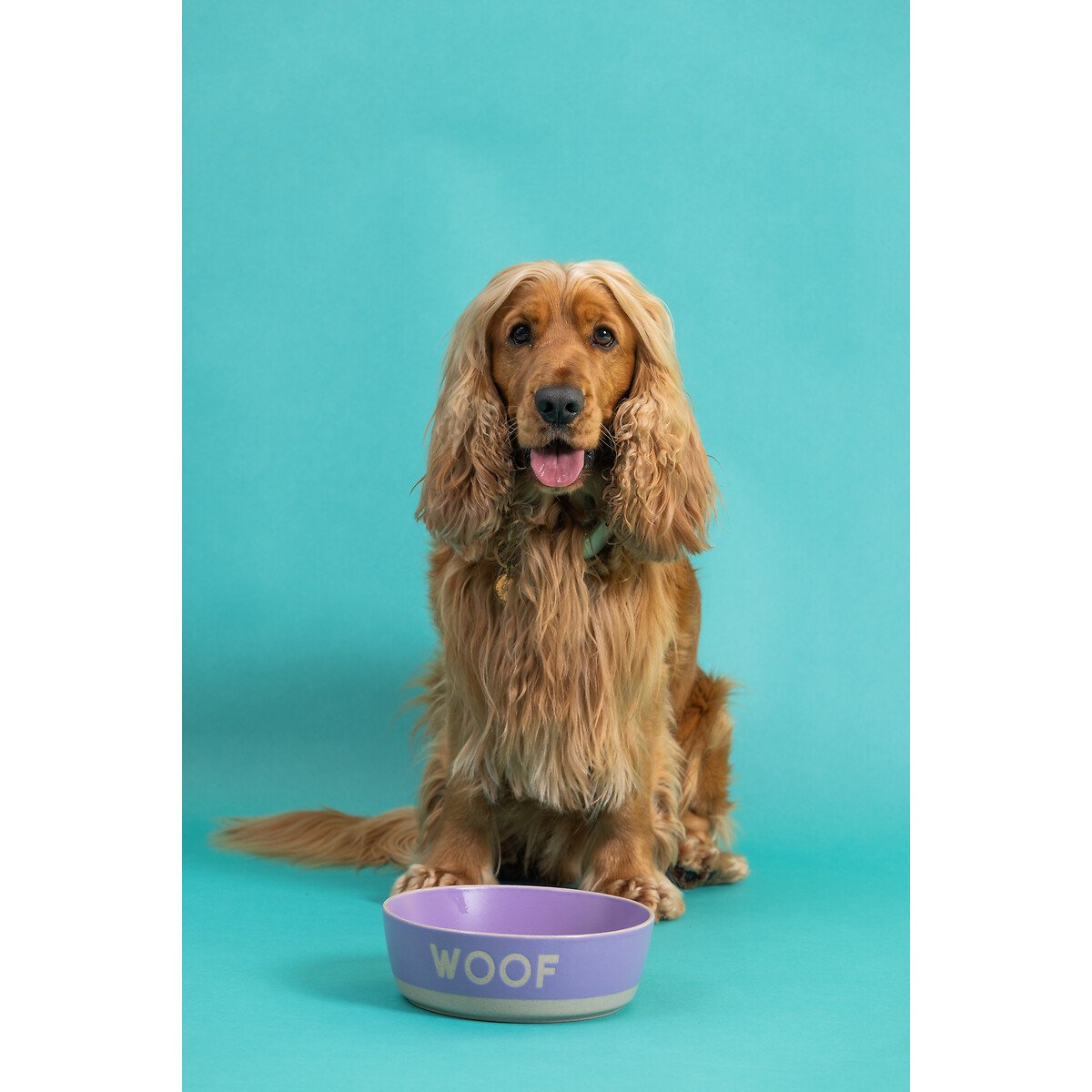 Set of 2 20cm Dip Glaze Bowls with Woof purple, MASON CASH
