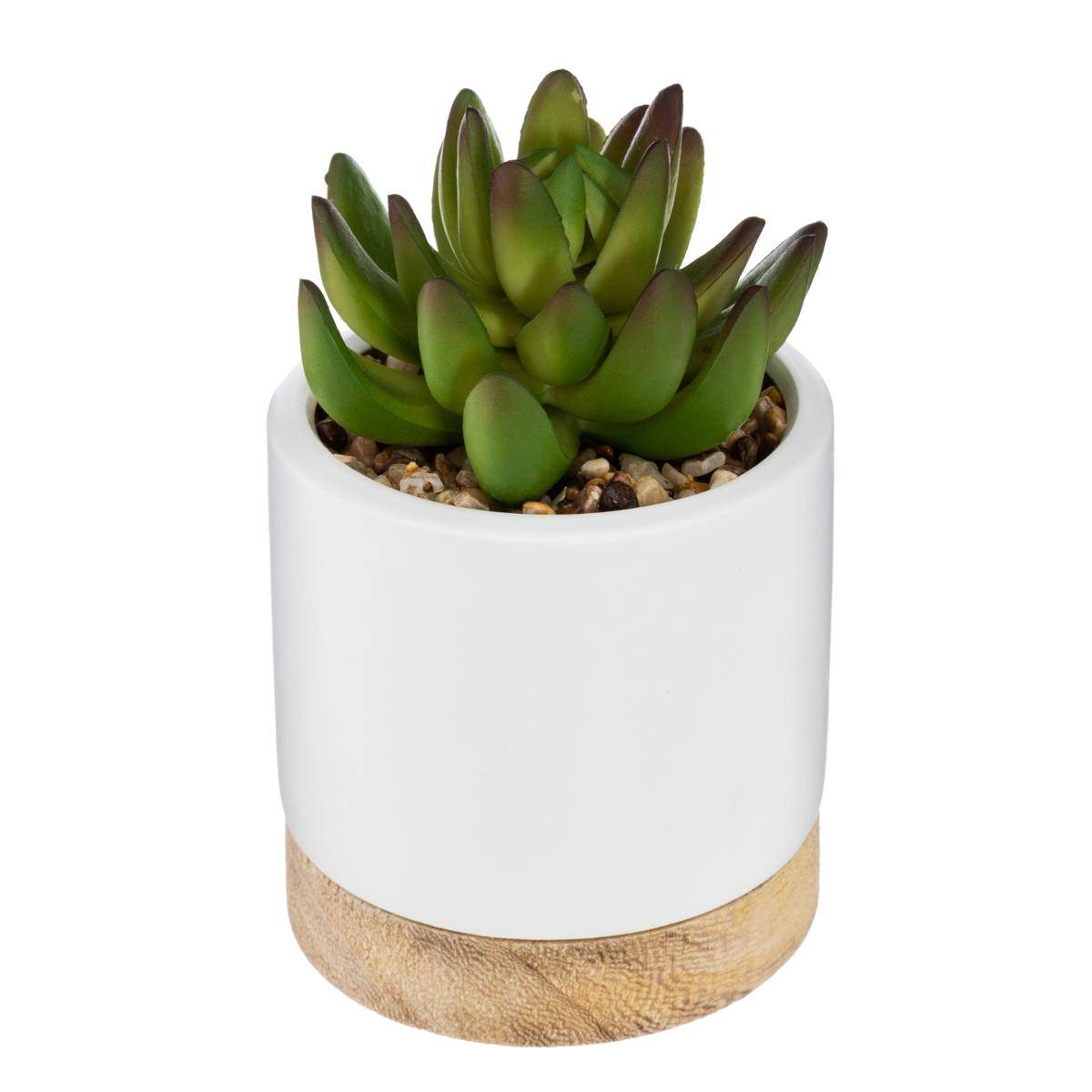 Succulente artificielle ARTY vert clair, ATMOSPHERA