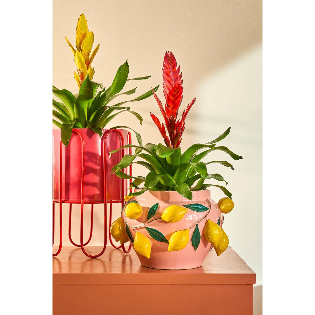 Cache-pot DIONE rose, MICA DECORATIONS