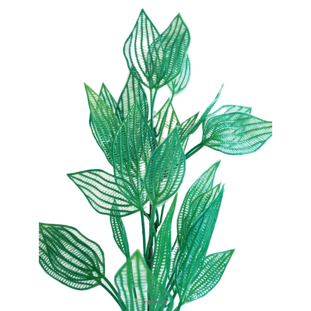 Branche de feuilles d'aponogeton fa vert, ARTIFICIELLES