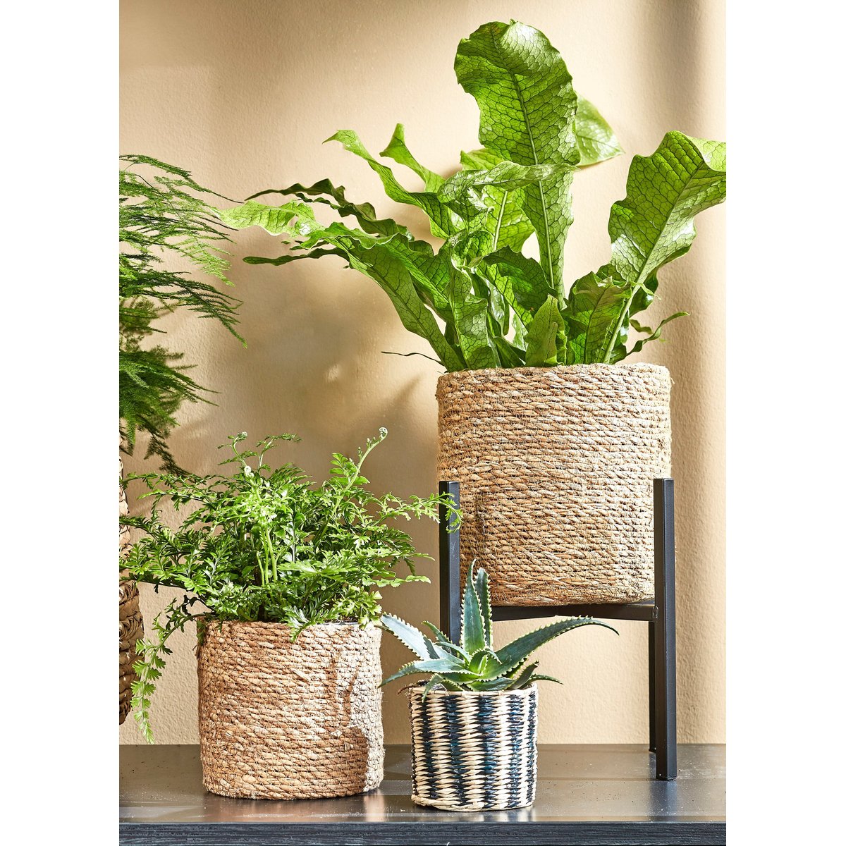 Support pour plantes H40 cm ASCOT XL noir, MICA DECORATIONS