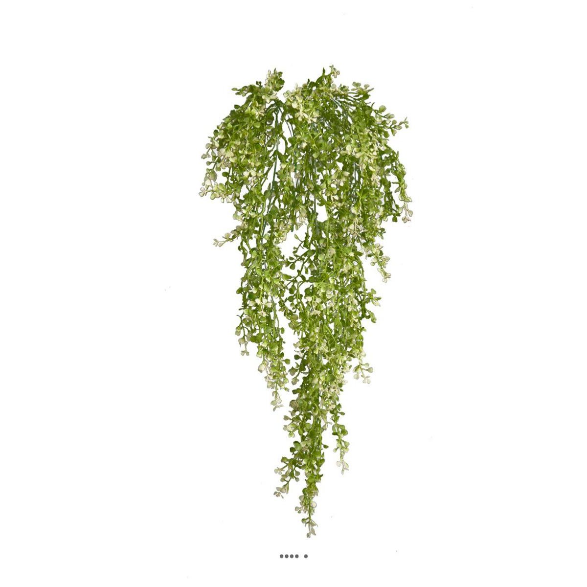 Chute de crassula artificiel H 85 cm v002239, ARTIFICIELLES