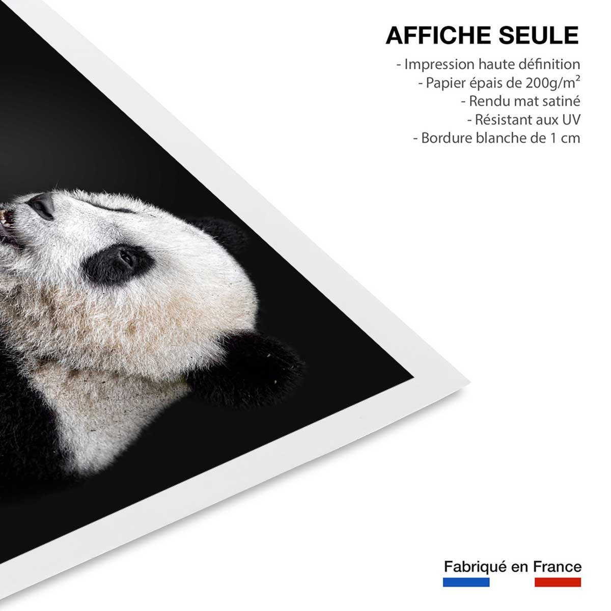 Affiche enfant pandas affiche seule, HEXOA